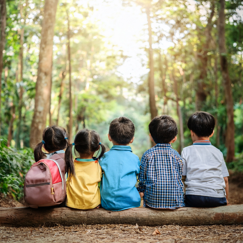 Logo Christbaumbauern OÖ